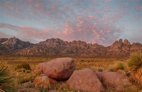 #GOWILDForEveryKid: BLM New Mexico’s Organ... | My Public Lands