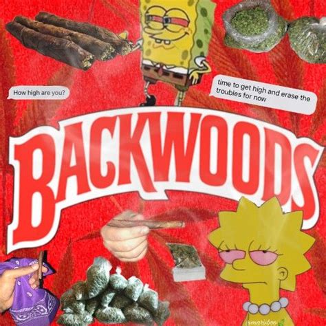 best HD wallpaper: Backwoods Wallpaper