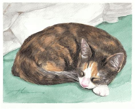 Calico Cat Sleeping Watercolor Portrait Drawing by Mike Theuer - Fine ...