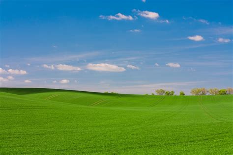 500+ Grassland Pictures | Download Free Images & Stock Photos on Unsplash