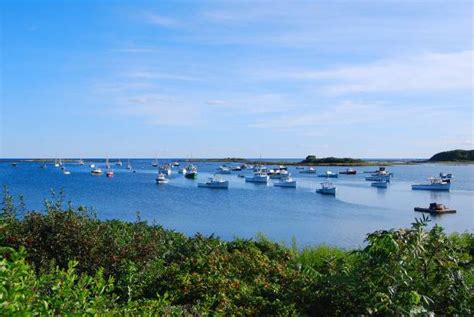 10+ Goat Island Marine Reserve Photos Stock Photos, Pictures & Royalty-Free Images - iStock