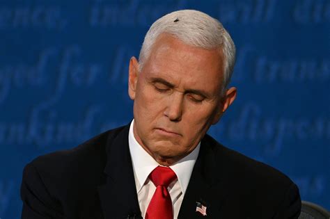 Fly lands on Pence's head during VP debate