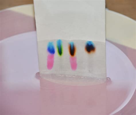 Paper Chromatography Experiment | LaptrinhX / News