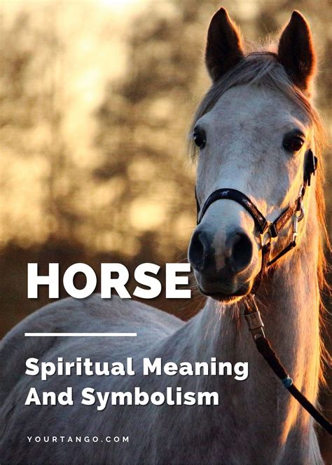 Horse Spirit Animal, Animal Spirit Guides, Your Spirit Animal, Animal Meanings, Animal Symbolism ...