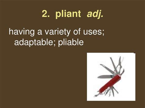 PPT - Latin Roots: Pli/Ploy/Plic- to fold, coil. PowerPoint Presentation - ID:5787710