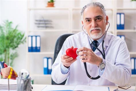 The Aged Male Doctor Cardiologist with Heart Model Stock Image - Image of cardiologist, holding ...