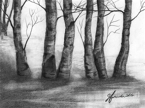 The Nature Of Trees Drawing by J Ferwerda