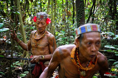 Paket Wisata Mentawai Tribe Sumatera Barat Pesona Indonesia