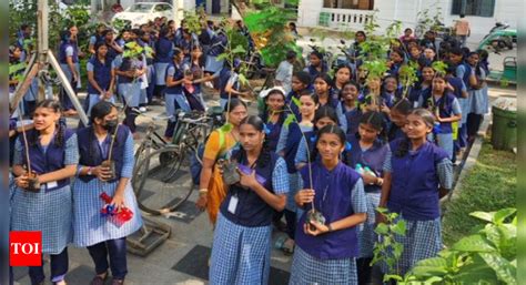 Chennai Corporation to plant 8,000 saplings on school campuses | Chennai News - Times of India