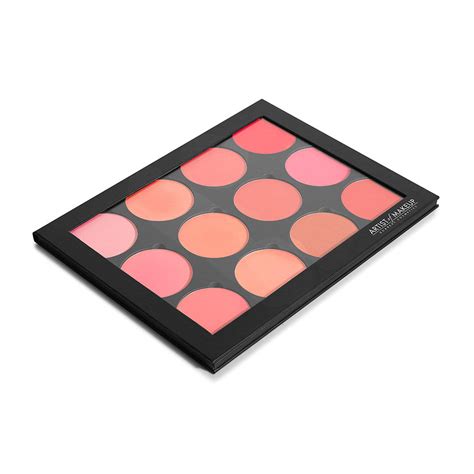 Pro 12 Blusher Palette – Artist of Makeup