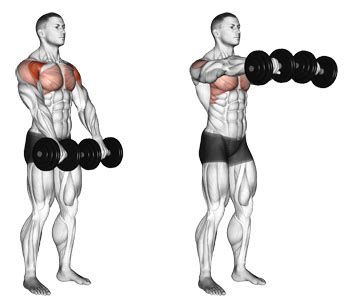 How To Build Your Front Deltoids With Dumbbell Front Raises | Member ...