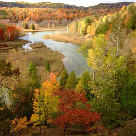 Manistee River Trail – Hiking | Manistee County Tourism - Manistee, Michigan