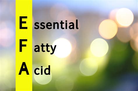 Essential Fatty Acids: Nature's Secret for Optimal Wellness - Facty Health