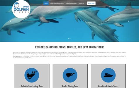 Dolphin Snorkel Tours - Duck Diver Marketing