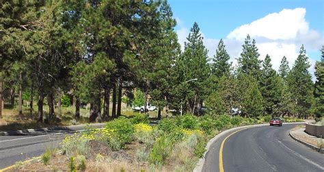 Sustainable Landscape Design in the High Desert - Cascade Business News