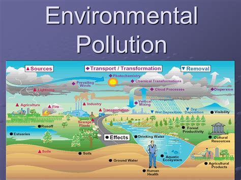 What Is Environmental Pollution