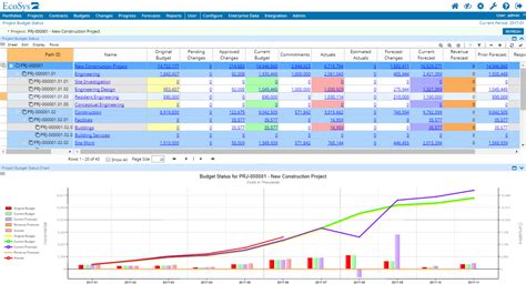 Project Budgeting and Financial Forecasting Software by EcoSys