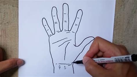 How To Draw Open Palm Hands Hand palm up stock illustrations images ...