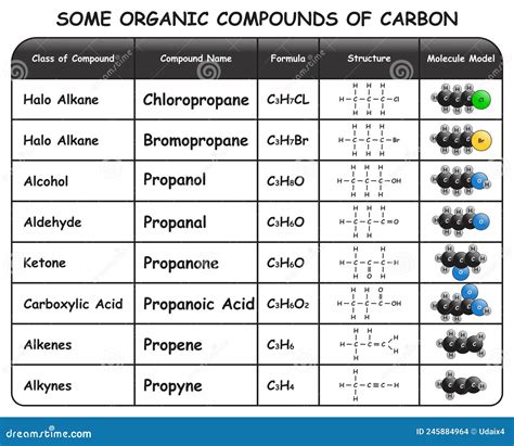 Some Organic Compounds of Carbon Infographic Diagram Stock Vector - Illustration of physics ...