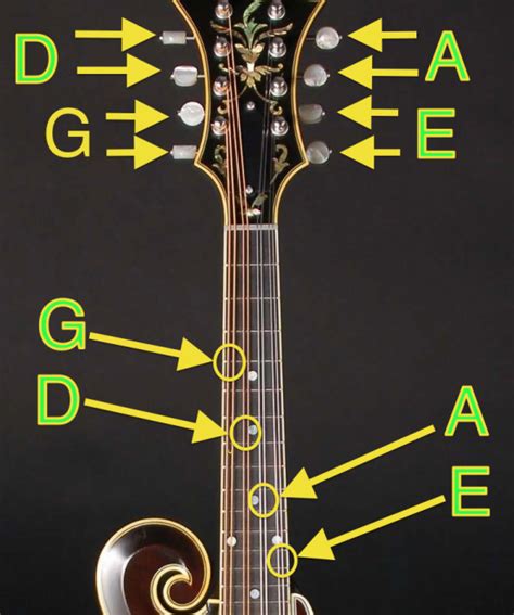 How To Tune A Mandolin Banjo