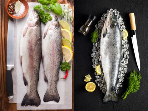 Difference Between Trout vs Salmon | Organic Facts