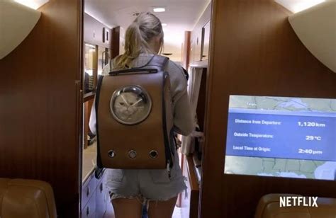 Taylor Swift Shows Off Her Cat Backpack in Miss Americana Netflix Documentary Trailer | Taylor ...