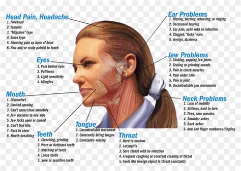 Dehydration Headache Pain Location , Png Download, Transparent Png ...