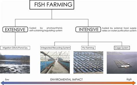 Making Aquaculture Sustainable… – Political Ecology of the World Food System