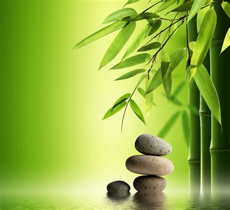Download Nature Zen Garden 4k Ultra HD Wallpaper