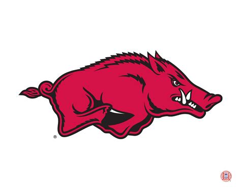 Arkansas Razorbacks mascot logo | Arkansas razorbacks, Arkansas ...