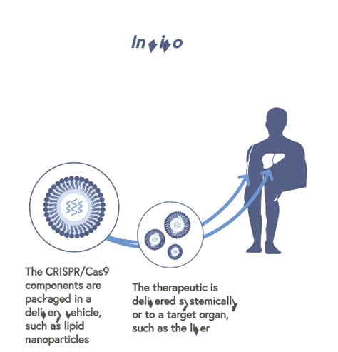 Therapeutic Approach | CRISPR Therapeutics