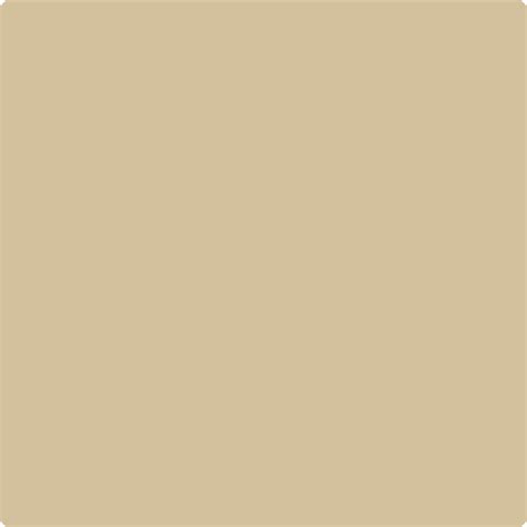 ️Sandy Brown Paint Color Free Download| Goodimg.co