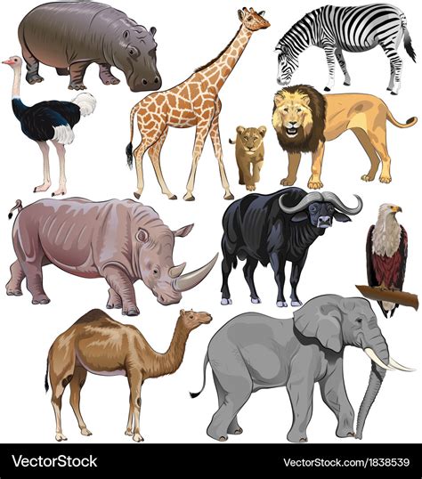 Wild animals from african continent Royalty Free Vector