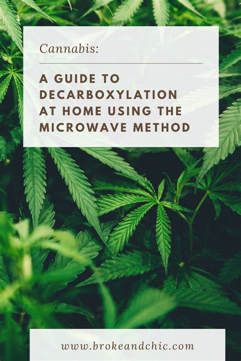 Cannabis: A Guide to Decarboxylation at Home Using the Microwave Method ...