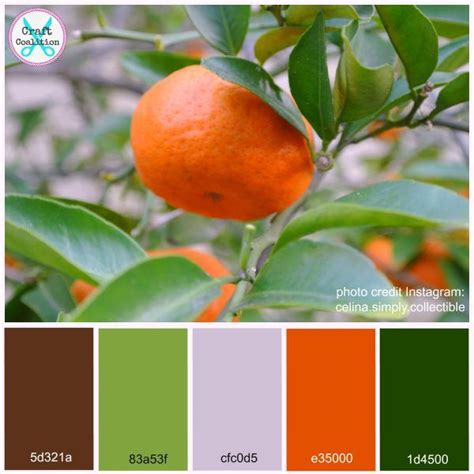 Mandarin Color Palette free printout on CraftCoalition.com | Orange ...