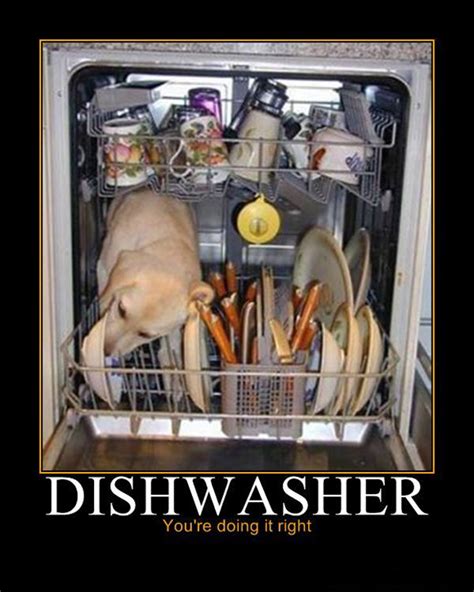 Dishwasher: You’re doing it right! | Burn A Brain