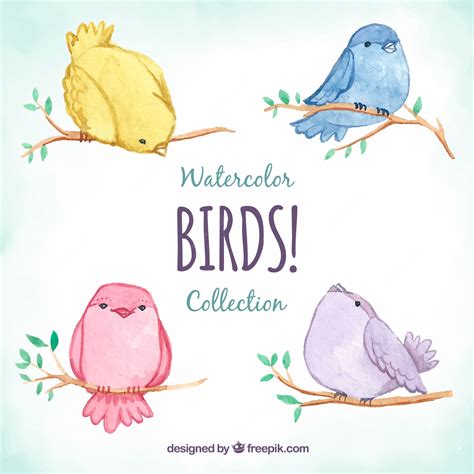 Premium Vector | Cute watercolor bird collection