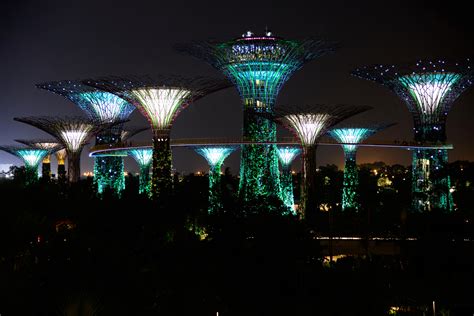 Illuminated Supertrees at Night (2) | Marina Bay | Pictures | Singapore ...