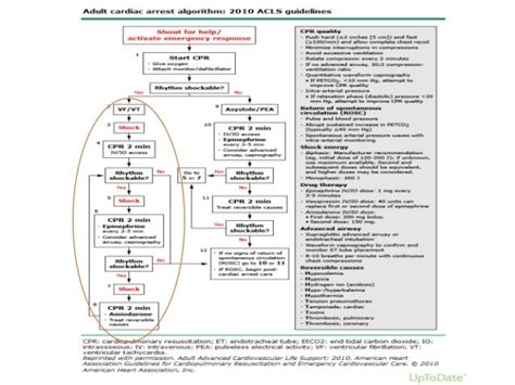 Case Report: Severe Infusion Reaction to Rituximab