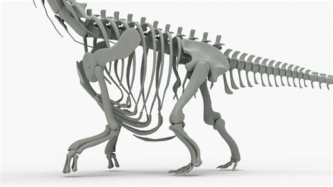 Argentinosaurus Rigged Skeleton 3D model - TurboSquid 2131869