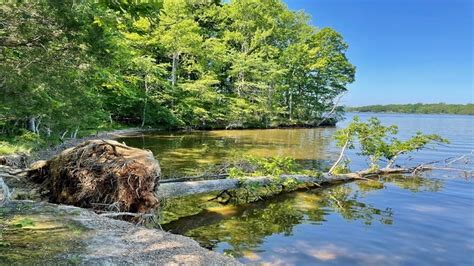 Lake Anna State Park: Guide to Easy Hiking Trails