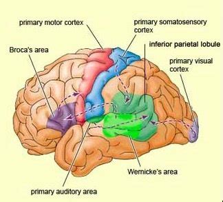 Tourette Syndrome Symptoms & Treatment for Tourette's