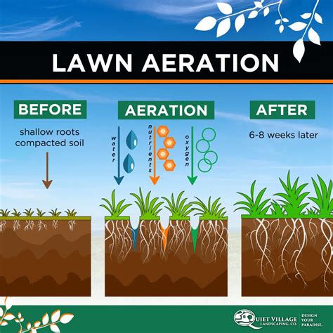 Soil Aeration Benefits at Kristin Daniels blog