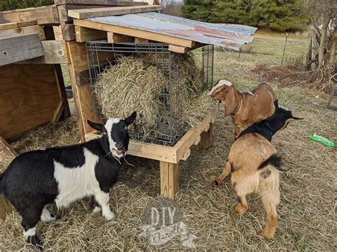 DIY Goat Hay Feeders - DIY Danielle®