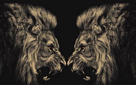 Dark Lion Wallpapers - Top Free Dark Lion Backgrounds - WallpaperAccess