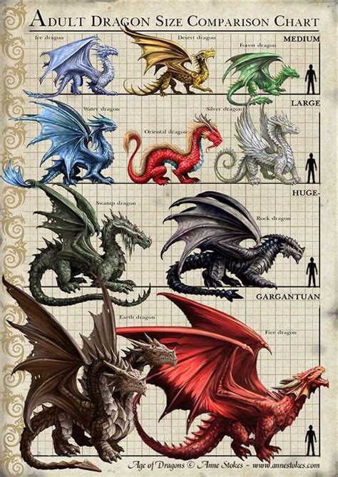 Adult Dragon size comparison chart : r/dragons