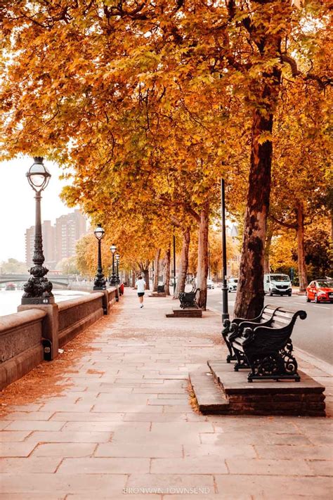 Autumn in London: Where to find the best fall colours 2022 — Bronwyn ...