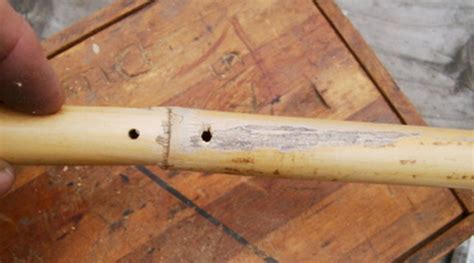 Making a N. American Style Flute from Rivercane - PaleoPlanet