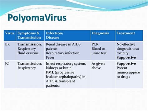 polyoma virus