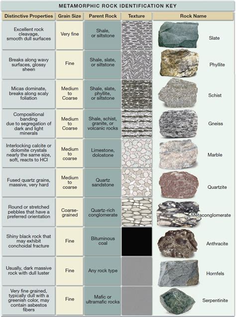 Place each of the metamorphic rocks supplied by your in... | Chegg.com